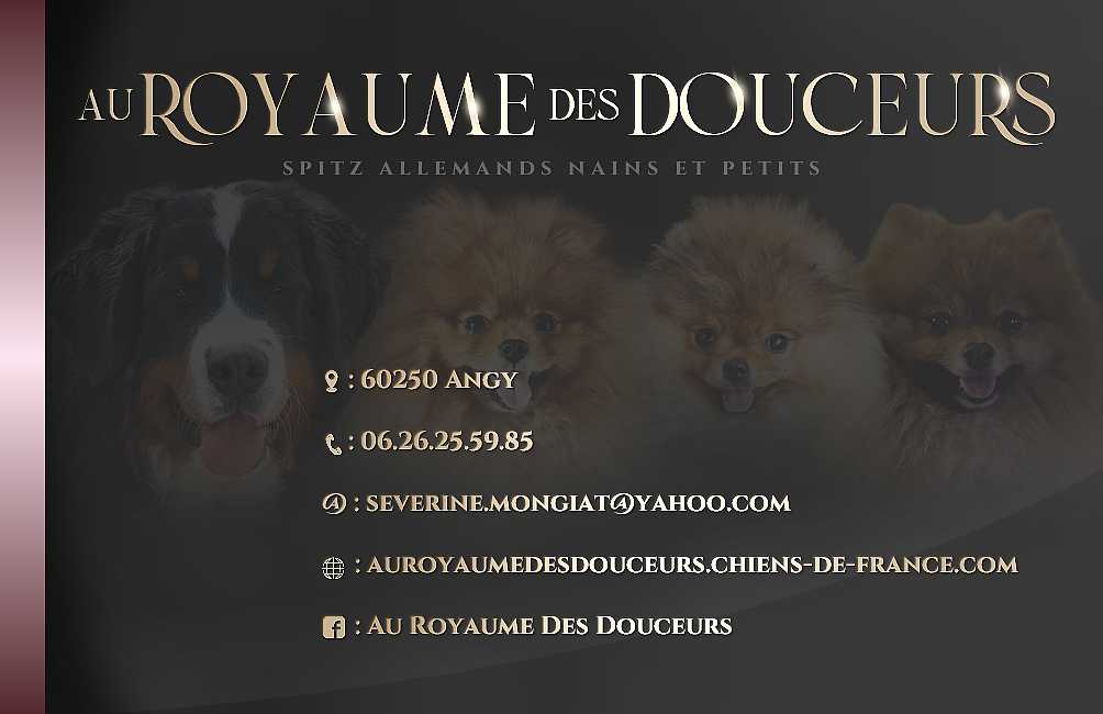 au Royaume des Douceurs