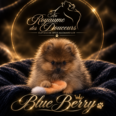 Blue Berry